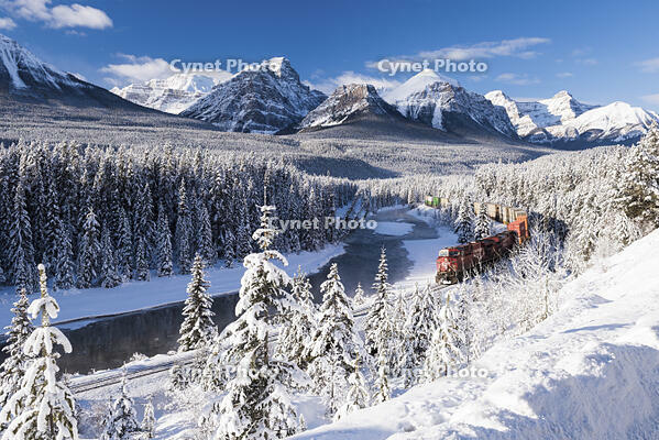 Morant's Curve in Winter, Banff National Park, Alberta, Canada [AWL110002232]