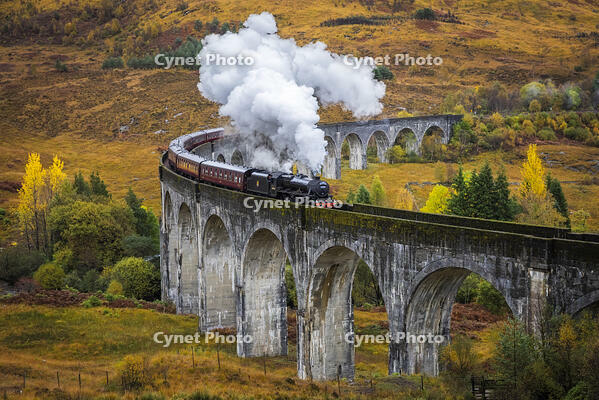 Jacobite steam train crossing Glenfinnan viaduct, Scottish Highlands, Scotland, UK [AWL110002250]