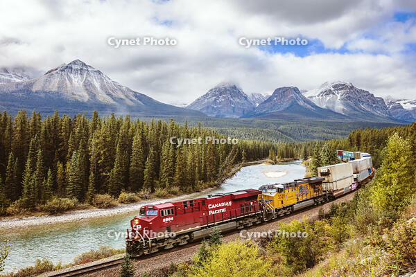 Morant's curve with cargo train passing, Banff National Park, Alberta, Canada [AWL120000045]