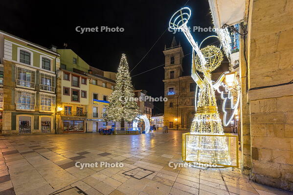 Plaza Ayuntamiento adorned with Christmas lights, Oviedo, Asturias, Spain [AWL110002498]