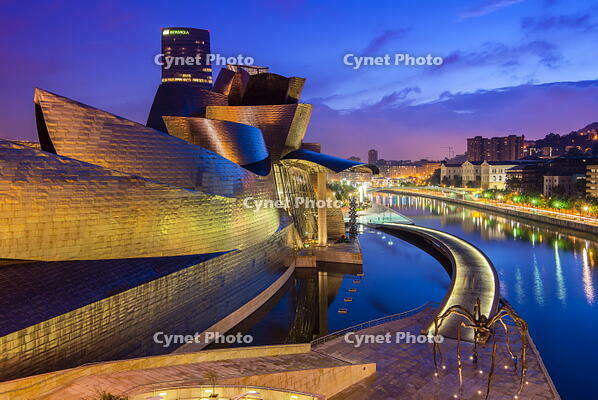 Guggenheim Museum by night, Bilbao, Basque Country, Spain [AWL110002504]
