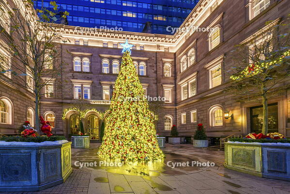 Lotte New York Palace Hotel, with Christmas Decoration and Christmas Tree Manhattan, New York City, USA [AWL110002543]