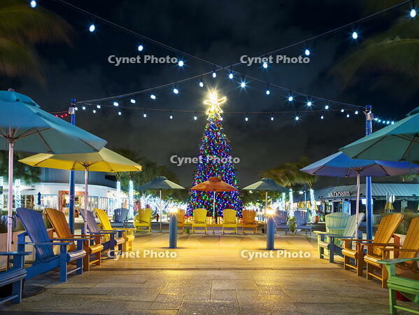 Lauderdale by the Sea with christmas Decorations and Christmas Tree, Christmas by the Beach Lauderdale by the Sea, Fort Lauderdale, Florida, USA [AWL110002544]