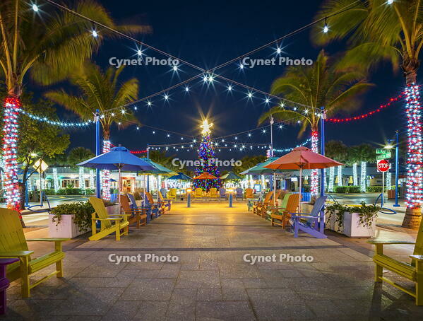 Lauderdale by the Sea with christmas Decorations and Christmas Tree, Christmas by the Beach Lauderdale by the Sea, Fort Lauderdale, Florida, USA [AWL110002546]
