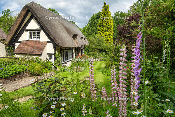 Thatched Cottage & Garden, Eastnor, Herefordshire, England [AWL110002552]