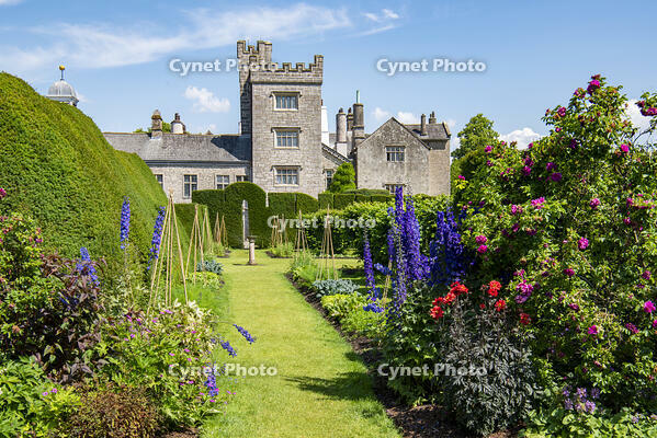 Kendal, Cumbria, England.  Roses and delphiniums frame a view of Levens Hall and its Pele Tower. [AWL110002555]
