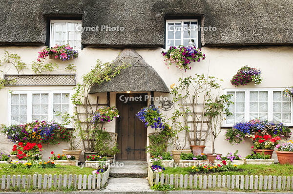Traditional cottage in West Lulworth, Dorset, UK [AWL110002558]