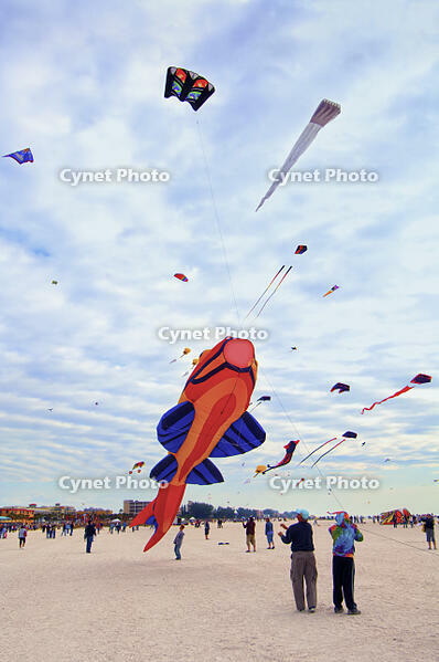 USA, Florida, Treasure Island Beach, Gulf Of Mexico, International Kite Festival, 90 Foot Shark Kite [AWL110002561]