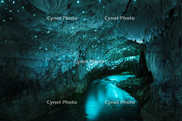 Glowworm cave and underground river, Waitomo caves, New Zealand [AWL120000048]