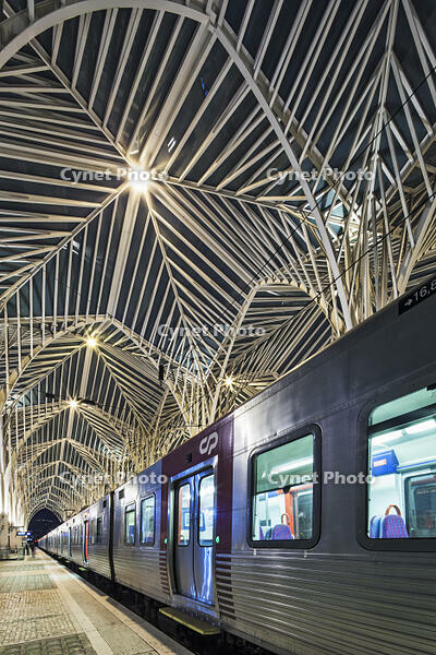 Contemporary modern modern steel and glass railway platform canopy of the Oriente Railway station, [AWL110002595]