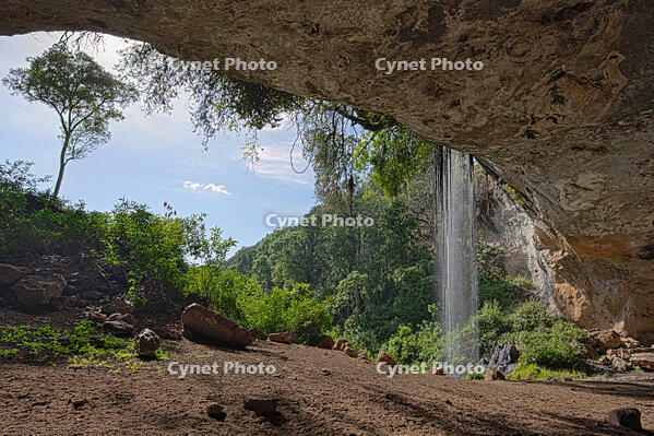 The attractive entrance to Makingeny cave where elephants come at night to eat salt by gouging the salt impregnated walls of the cave with their tusks. Kenya [AWL110002608]