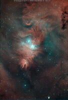 Stacked18_NGC2264_60.0s_Bin1_294MC_20231123-032750 [ATL110005141]