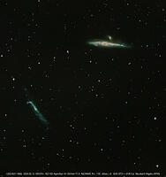 Stacked8_NGC4631_60.0s_Bin1_294MC_gain203_20240213-003733_-10.0C-T [ATL110005186]