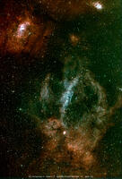 クワガタ星雲色調整 [ATL110005224]