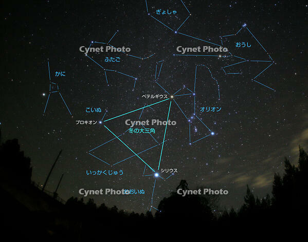冬の星座 [ATL110001217]