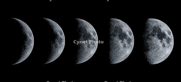 月の形の変化 [ATL110003392]