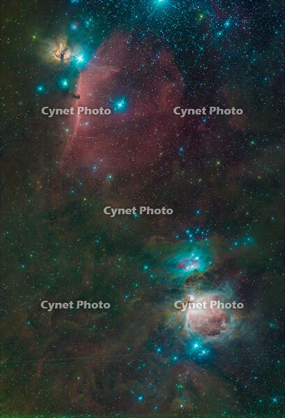 Stacked21_M42_60.0s_Bin1_gain211_20241110-004537_-10.0C [ATL110005145]