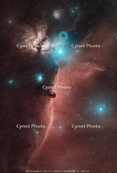 Stacked25_M42_60.0s_Bin1_294MC_20231123-030746 [ATL110005149]