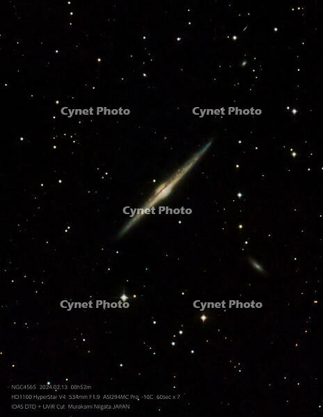 Stacked7_NGC4565_60.0s_Bin1_294MC_gain203_20240213-005253_-10.0C-2-T [ATL110005180]