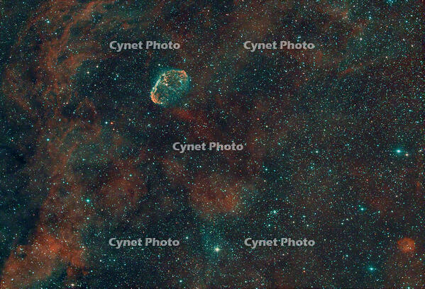 Stacked7_NGC6888_60.0s_Bin1_294MC_gain203_20240504-031452_-10.0C [ATL110005182]