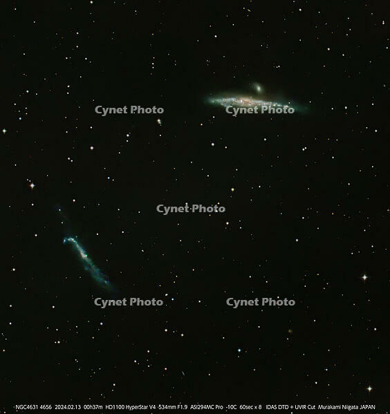 Stacked8_NGC4631_60.0s_Bin1_294MC_gain203_20240213-003733_-10.0C-T [ATL110005186]