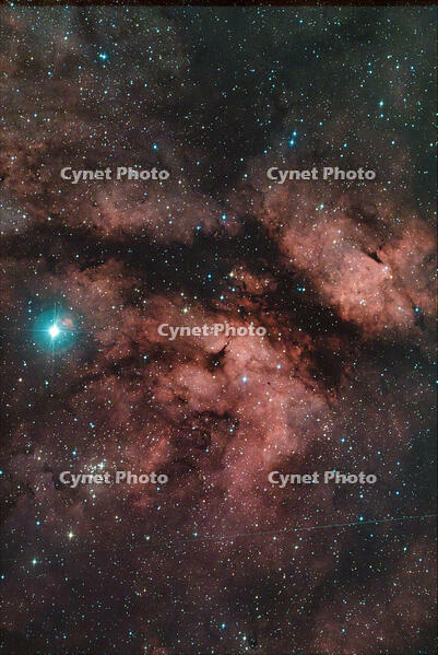 Stacked8_NGC6910_60.0s_Bin2_2600MC_gain100_20240530-003512_-9.9C [ATL110005187]