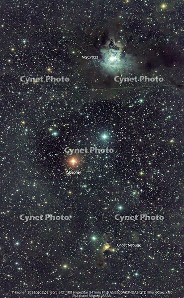 T-2-Stacked50_T Cephei_60.0s_Bin2_2600MC_gain100_20240602-025009_-10.0C  [ATL110005194]