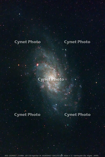 T-Stacked12_M33_60.0s_Bin1_20240927-210857 [ATL110005196]