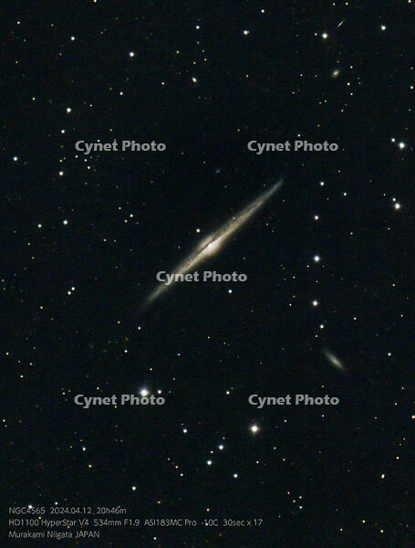 T-Stacked17_NGC4565_30.0s_Bin2_183MC_gain111_20240412-204605_-10.0C [ATL110005202]