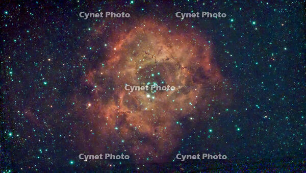 stacked-49_NGC 2244 122_30s_120_2024-11-04-02-25-51-195 [ATL110005217]