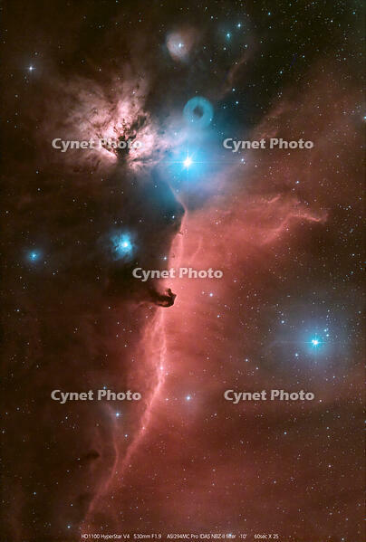 馬頭星雲　色補正 [ATL110005226]