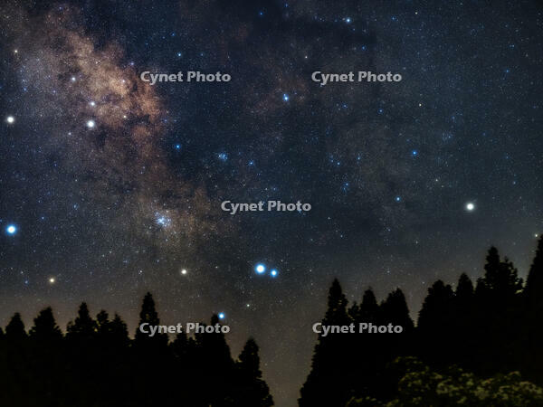 M6・M7付近の天の川 [ATL110005239]