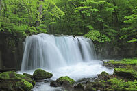 新緑の奥入瀬の銚子大滝 [GMA110011390]