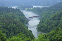 只見線の霧の第一只見川橋梁と列車 [GMA110011413]