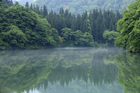 只見川の霧の霧幻峡 [GMA110011415]