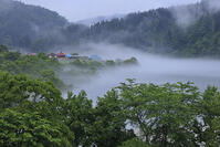 霧の只見川 [GMA110011426]