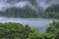 霧の只見川 [GMA110011427]