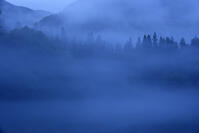 夜明けの只見川の霧の霧幻峡 [GMA110011429]