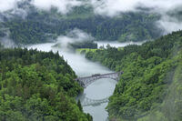 只見線の霧の第一只見川橋梁と列車 [GMA110011441]