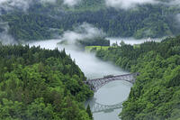 只見線の霧の第一只見川橋梁と列車 [GMA110011442]