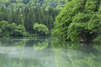 只見川の霧の霧幻峡 [GMA110011443]