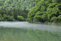 只見川の霧の霧幻峡 [GMA110011444]