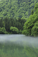 只見川の霧の霧幻峡 [GMA110011445]