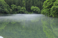 只見川の霧の霧幻峡 [GMA110011446]