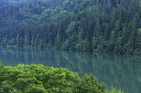 朝の只見川 [GMA110011448]