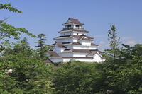 夏の鶴ヶ城 [GMA110011459]