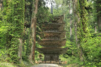 羽黒山の五重塔 [GMA110011479]