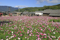 小豆島の二十四の瞳映画村 [GMA110011725]
