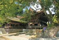 金刀比羅宮の御本宮 [GMA110011737]