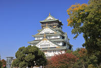 秋の大阪城 [GMA110011751]